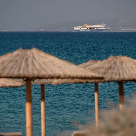 Ii Πλάκα